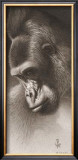 Buy Silver Back, the Gorilla at AllPosters.com