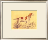 Hunting Dogs, Griffon