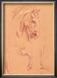 Buy Horse Head at AllPosters.com