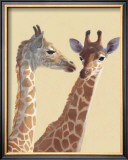 Girafes
