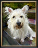 Little Westie