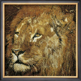Buy Lion Portrait at AllPosters.com