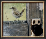 Buy House Wren at AllPosters.com