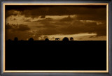 Buy Horse Silhouette Sunset at AllPosters.com