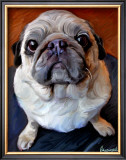 Pug on a Rug