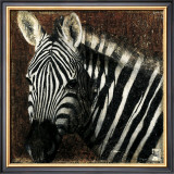 Buy Zebra Portrait at AllPosters.com