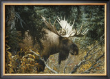 Buy Calm Before the Challenge at AllPosters.com