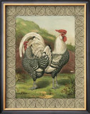 Buy Roosters III at AllPosters.com