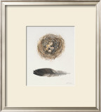 Field Study Nest