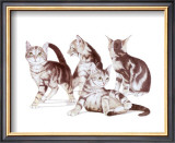 Puppies and Kittens I