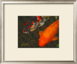 Buy Green Rock Japanese Koi II at AllPosters.com