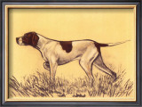 Hunting Dogs, Pointer