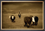 Buy Cowboy Face Off at AllPosters.com