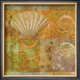 Buy Seashell Collage at AllPosters.com