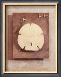 Buy Seashell Study I at AllPosters.com