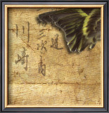 Buy Goldfinch Wing at AllPosters.com