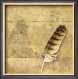Buy Owl Feather at AllPosters.com