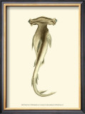 Shark Tale I