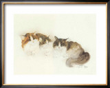 Buy Katzen at AllPosters.com