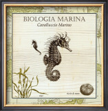 Biologia Marina III