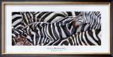 Buy Zebras's Sea at AllPosters.com