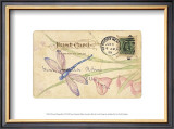 Buy Postcard Dragonfly II at AllPosters.com