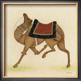 Buy Camel from India I at AllPosters.com