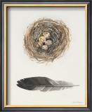 Field Study Nest