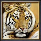 Buy Portrait d'Aliba at AllPosters.com