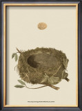Buy Antique Nest and Egg I at AllPosters.com