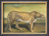Buy Cheetah at AllPosters.com