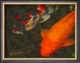 Buy Green Rock Japanese Koi II at AllPosters.com