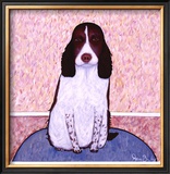 Patience - Springer Spaniel
