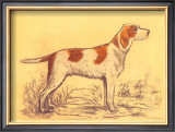 Hunting Dogs, Griffon