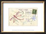 Buy Postcard Dragonfly IV at AllPosters.com