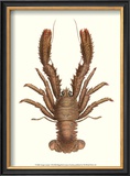 Buy Antique Lobster II at AllPosters.com