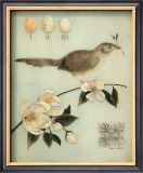 Buy Blossom Recollection at AllPosters.com
