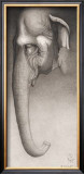 Buy Toni, the Elephant at AllPosters.com