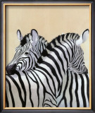 The Zebra