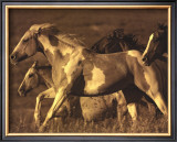 Buy Like the Wind I at AllPosters.com