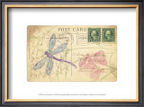 Buy Postcard Dragonfly I at AllPosters.com