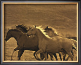 Buy Like the Wind II at AllPosters.com