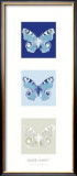 Buy Butterfly II at AllPosters.com