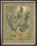 Buy Roosters II at AllPosters.com