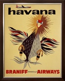 Braniff International Airways, Havana