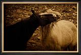 Buy Horse Play at AllPosters.com