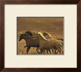 Buy Like the Wind II at AllPosters.com