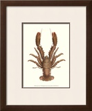 Buy Antique Lobster II at AllPosters.com