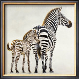 Buy Zebre et Son Petit de Ndutu at AllPosters.com