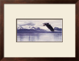 Buy Silent Quest at AllPosters.com
